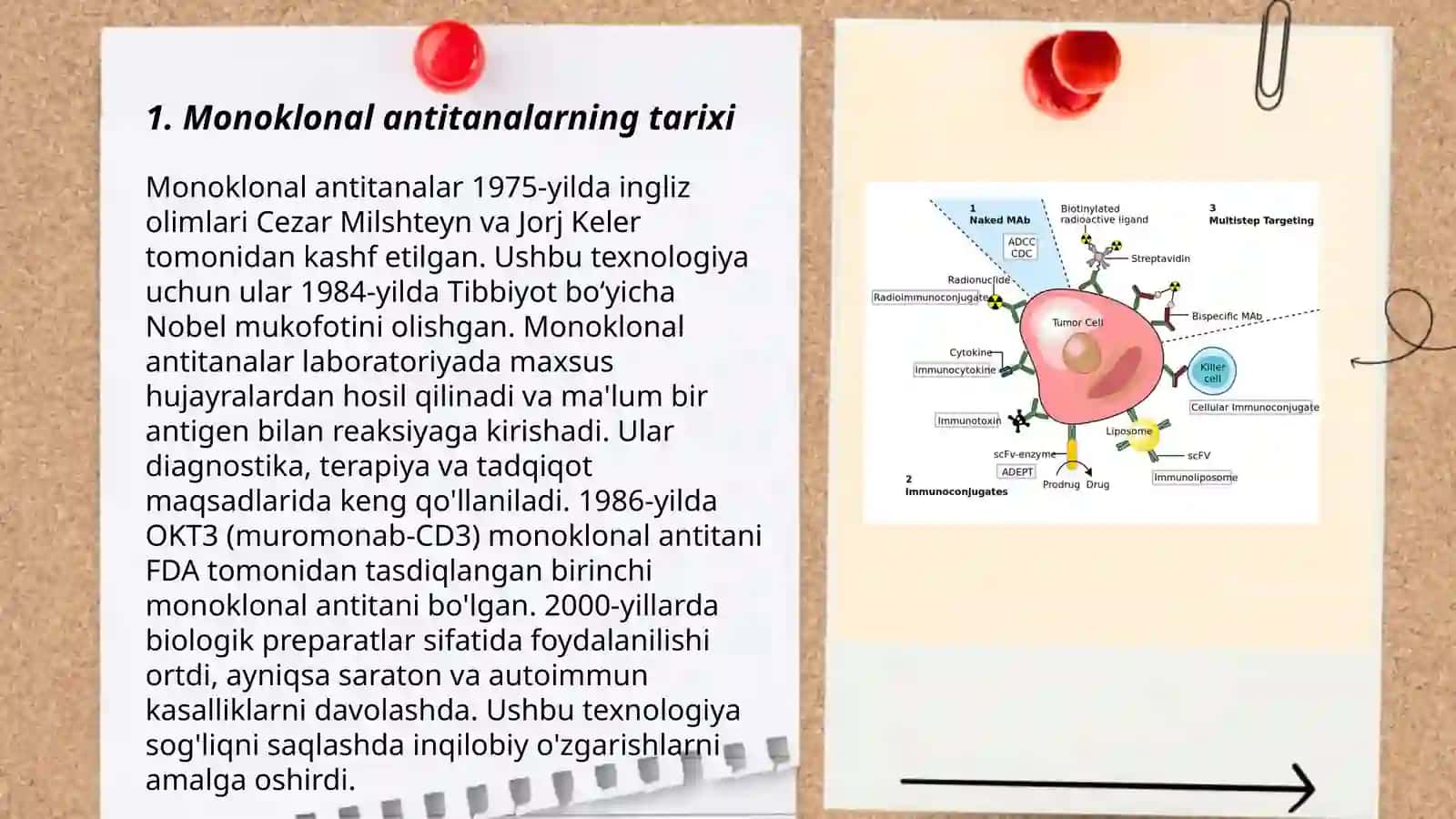 Monoklonal antitelalar olish 3