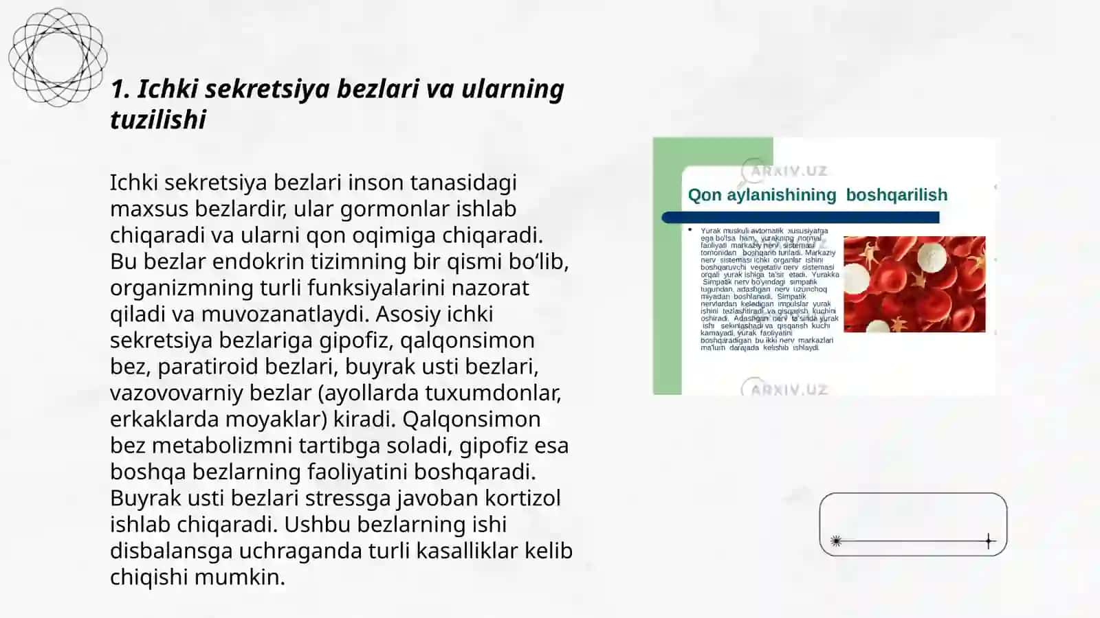 Ichki sekretsiya bezlarining yosh xususiyati 3