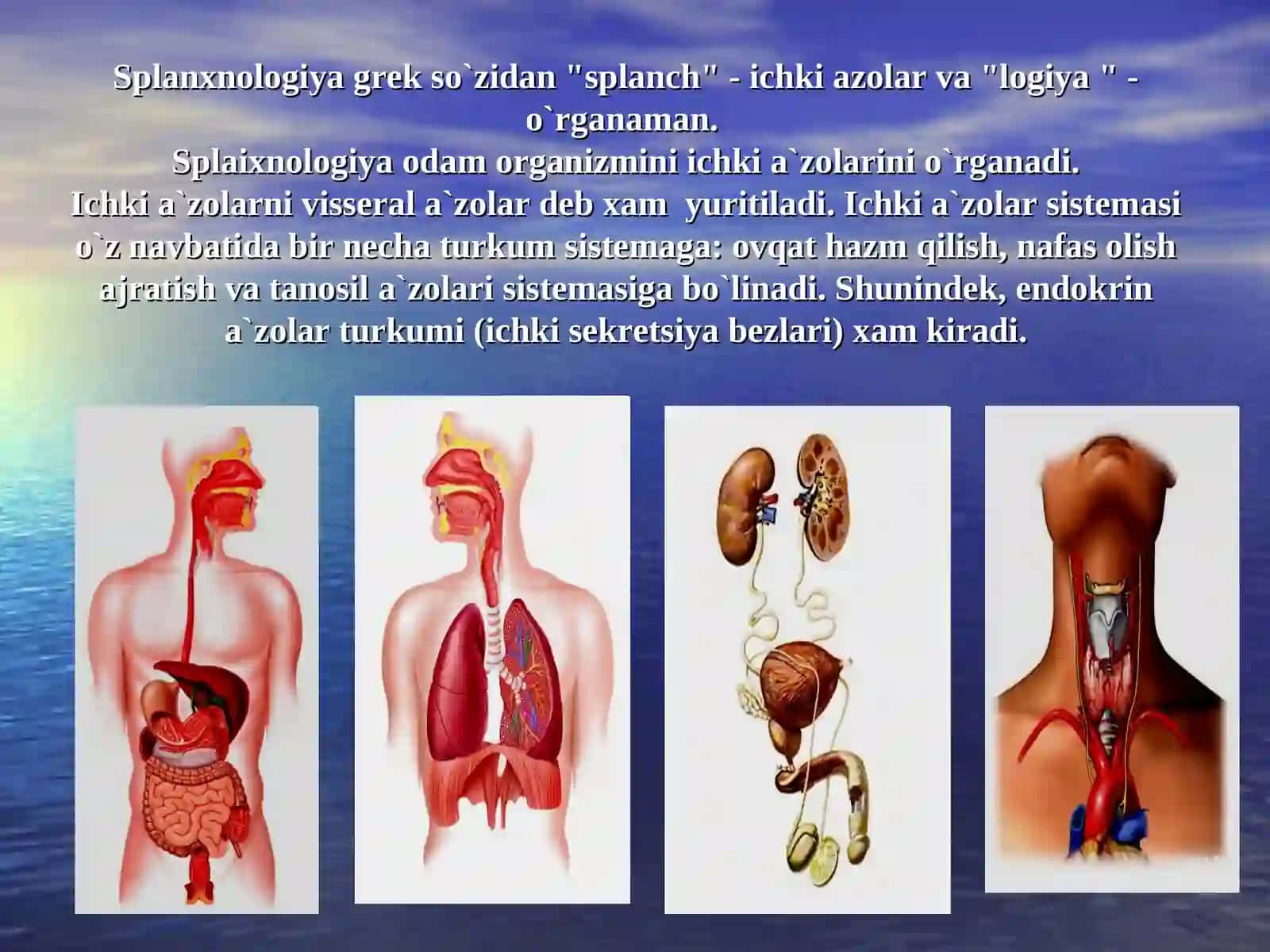 SPLANXNOLOGIYAGA 3