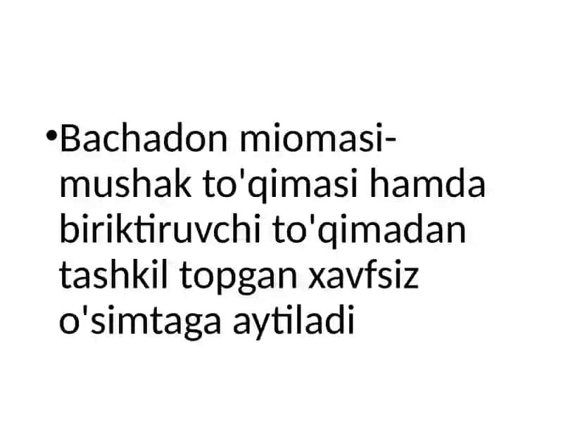 Bachadonmiomasi 3