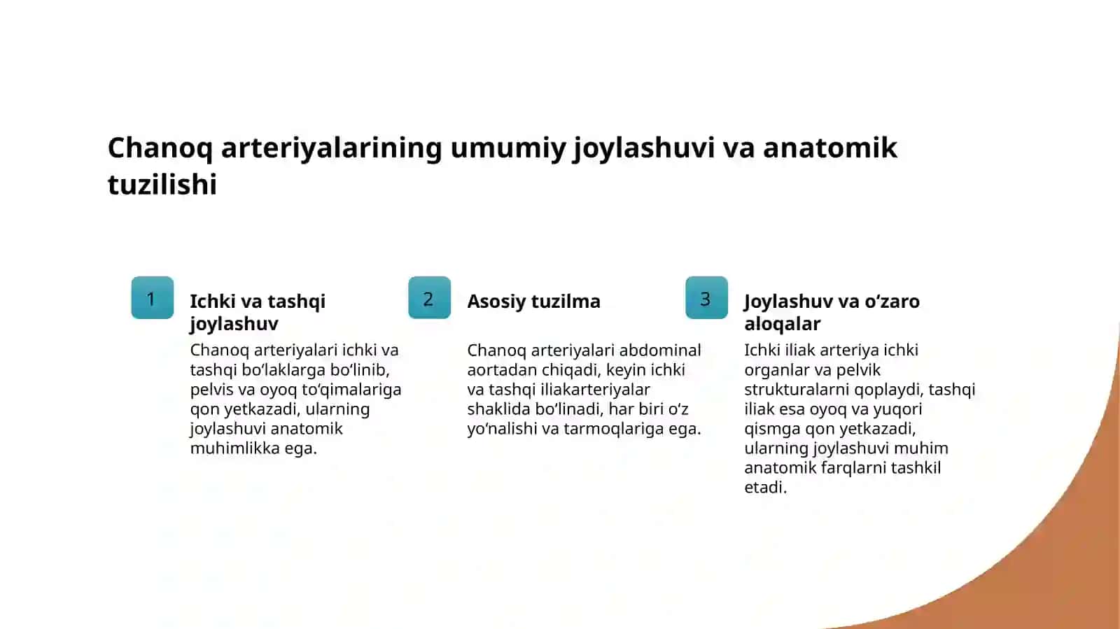 Chanoq arteriyalari 3