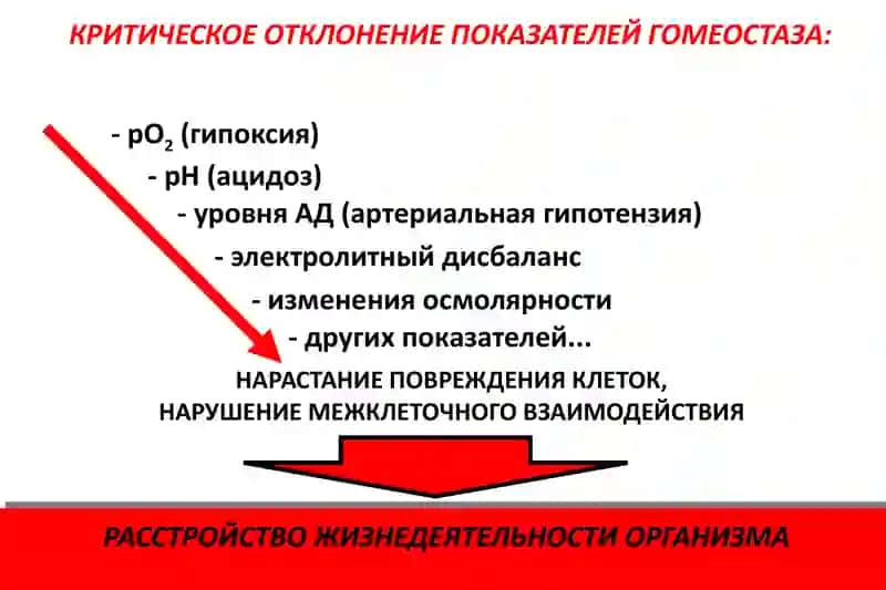 Терминальные состояния 3