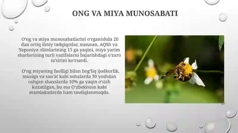 Ong, haqida tushuncha va xossalari 3