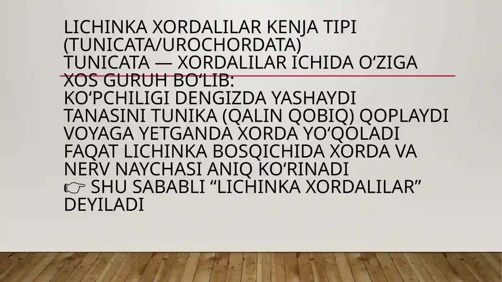 Xordalilartipi –chordata,lichinkaxordalilar–urochordataKenjatipiningsistematikasivafilogeniyasi 3