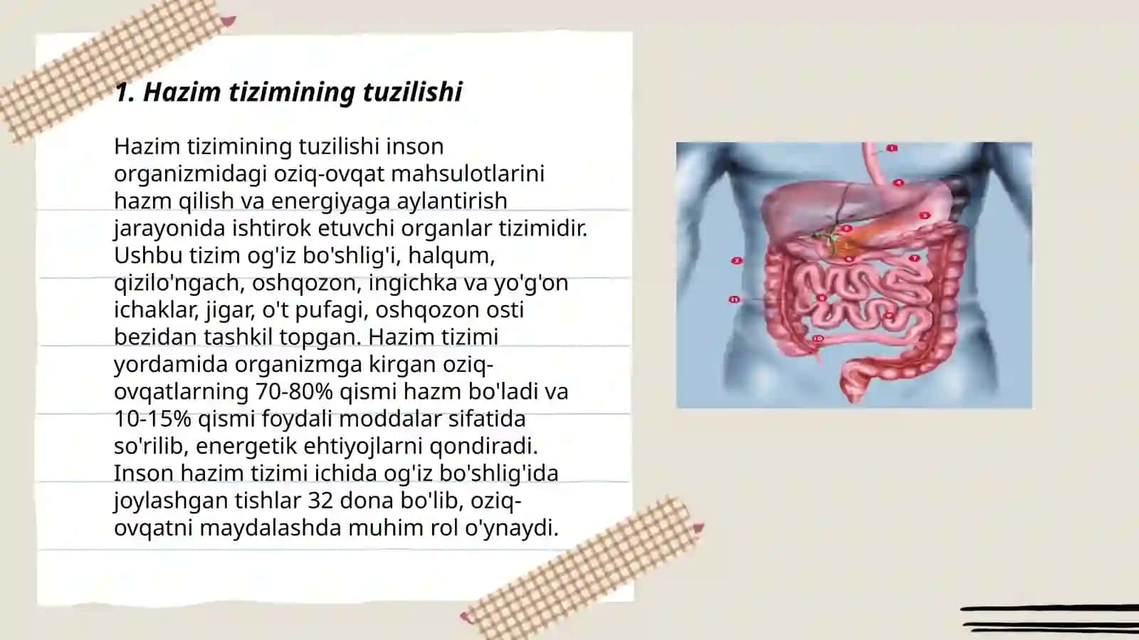 Hazim tizimining tuzilishi 3