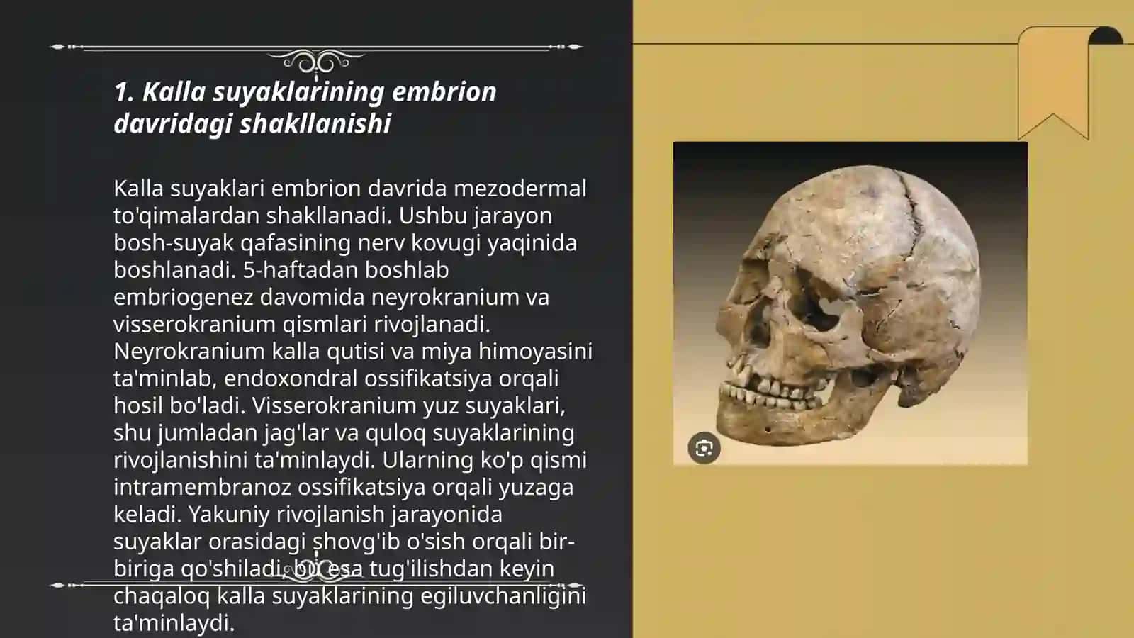 Kalla suyaklarining yoshga qarab o’zgarishi. Kalla suyaklarining yoshga va jinsga nisbatan farqi 3