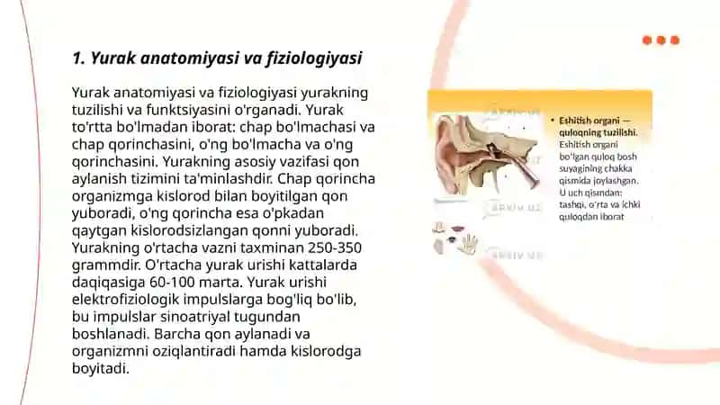 Yurak faoliyatining tekshirish usullari 3