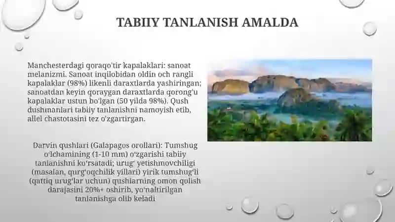 Tabiiy tanlanish amalda 3