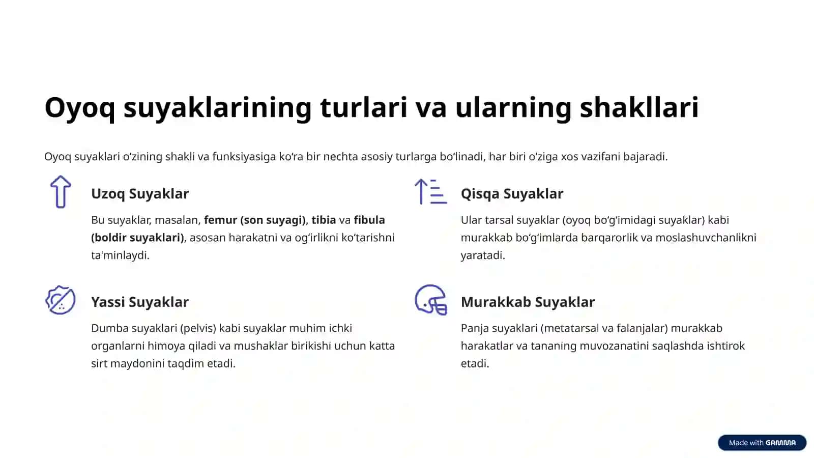 Oyoqning Suyaklari Anatomiyasi 3