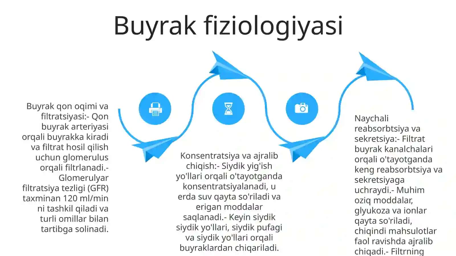 Buyrak Va Siydik Chiqarish Kanali 3