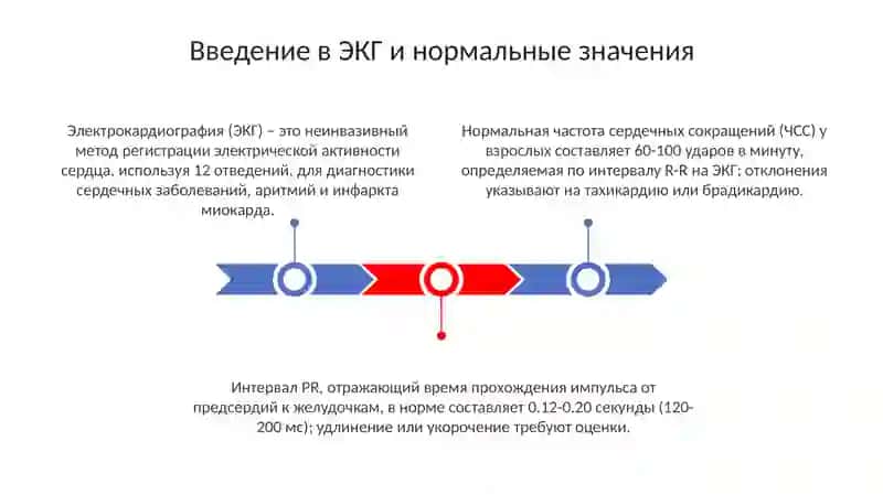 Тема:нормальныезначенияЭКГ 3