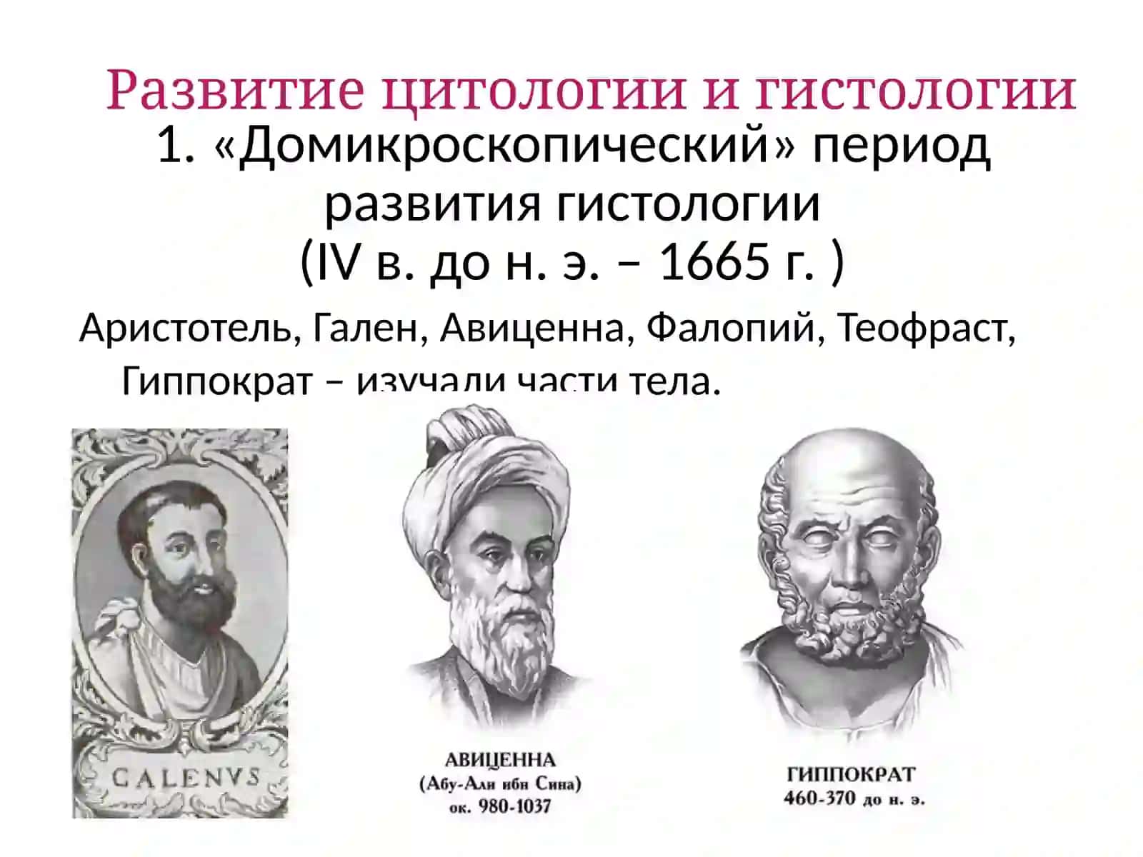 Становление гистологии как науки 3