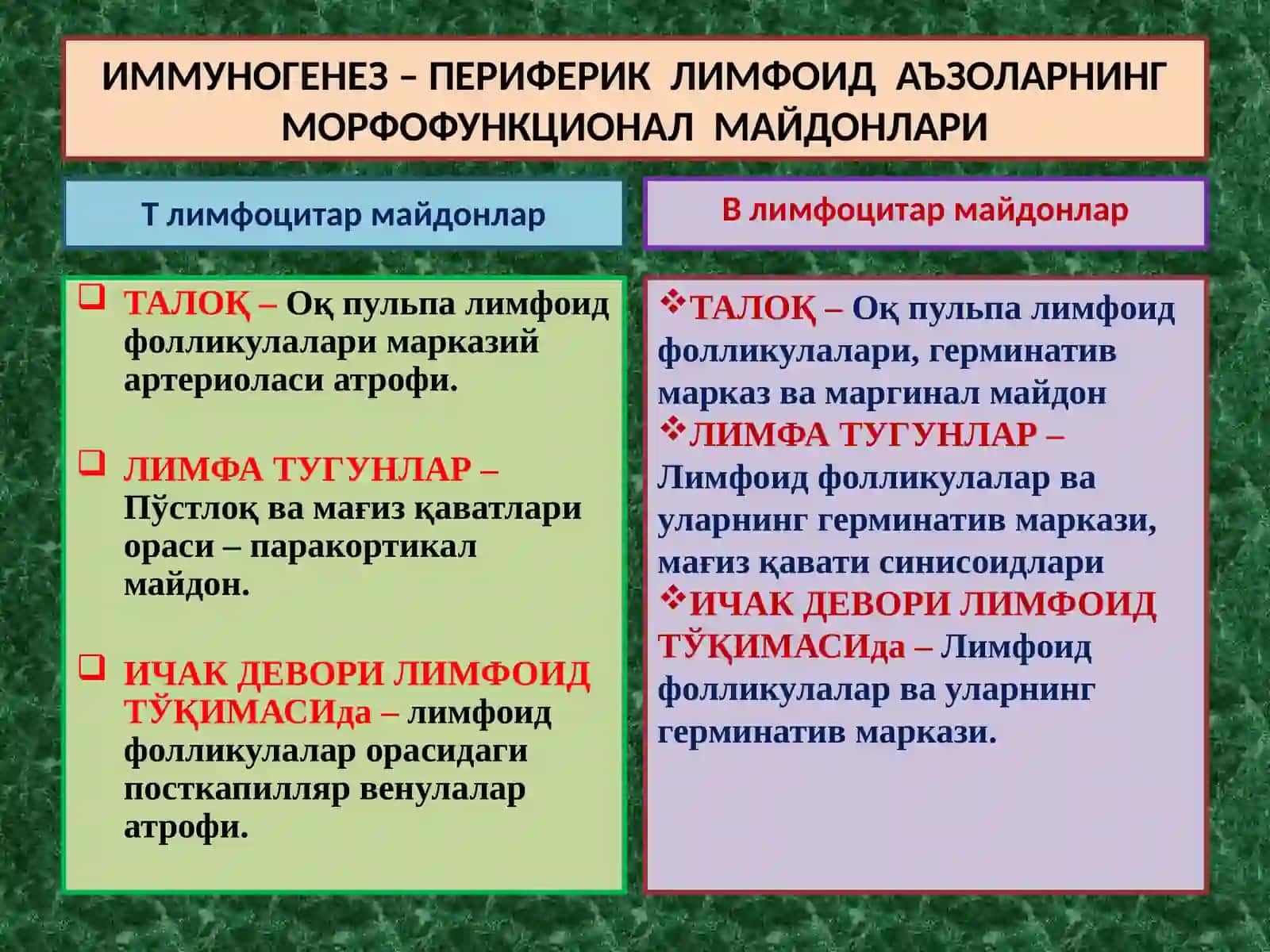 ИММУНОПАТОЛОГИК ЖАРАЁНЛАР ХАКИДА ТУШУНЧА 3