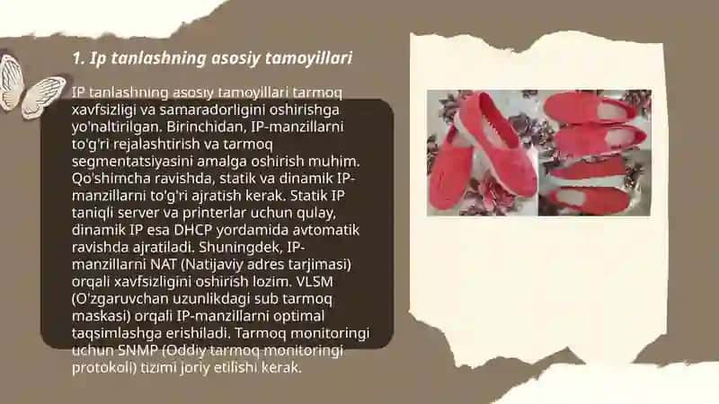 Ip tanlashning asosiy tamoyillari 3