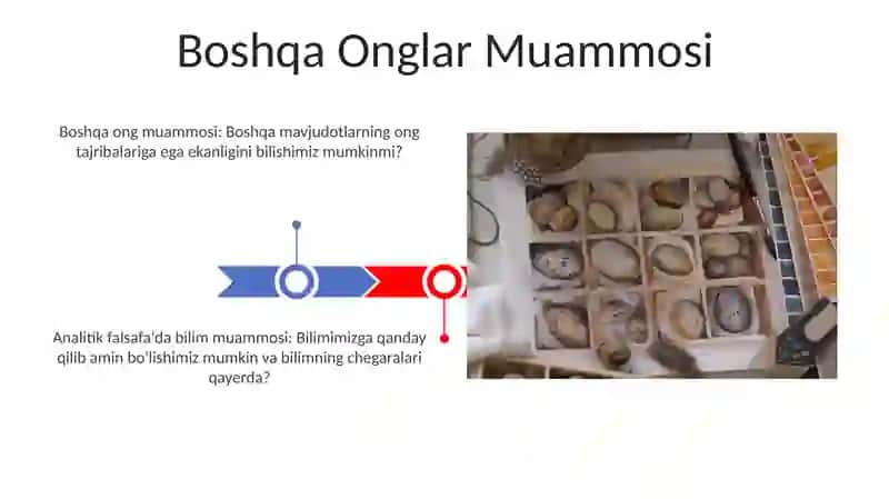 Analetik falsafada bilish muammosi 3