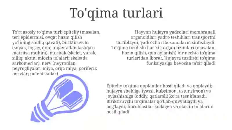 Hujayra yadrosi 3