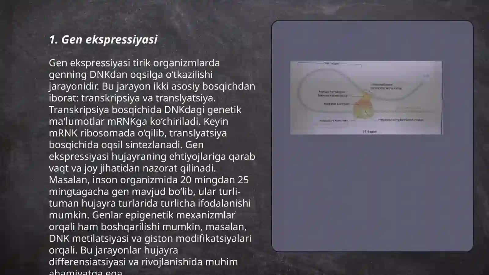 Gen ekspressiyasi va genetik kod 3