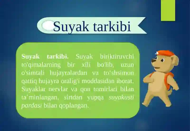 Suyaklarning tuzilishi va o’sishi 3