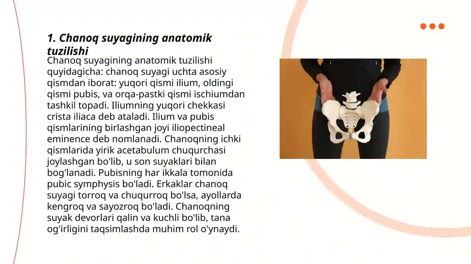 Chanoq suyagi anatomiyasi 3