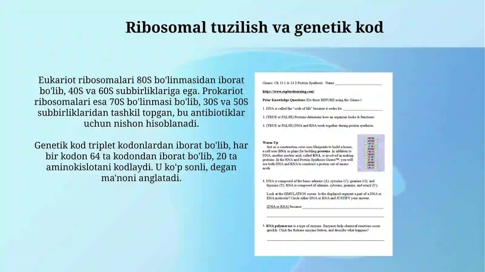Oqsillarbiosintezi 3