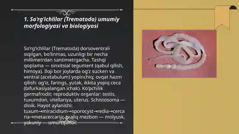 So‘rg‘ichlilar – odam parazitlari 3