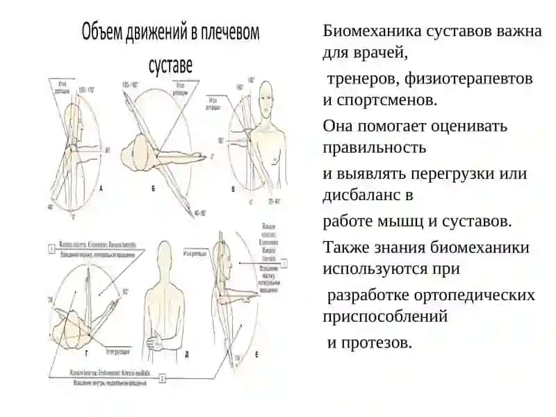 Биомехнаика Суставов 3