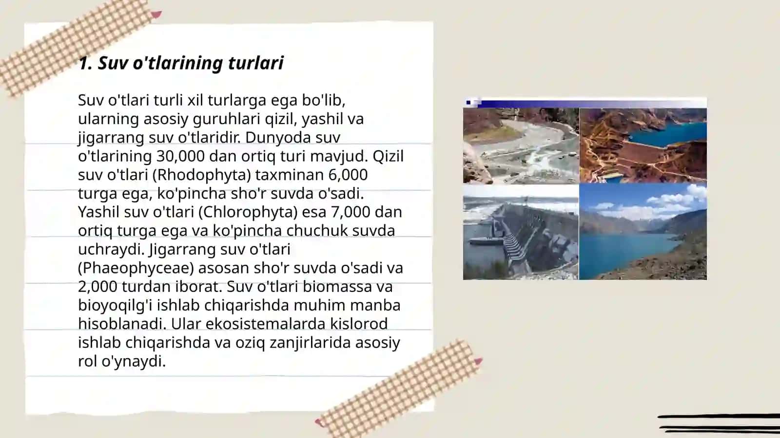 Suv o'tlari haqida taqdimot 3
