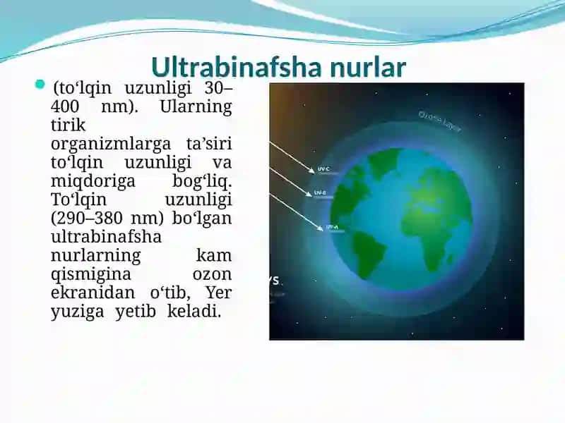 Yorug‘lik muhitning abiotik omili 3