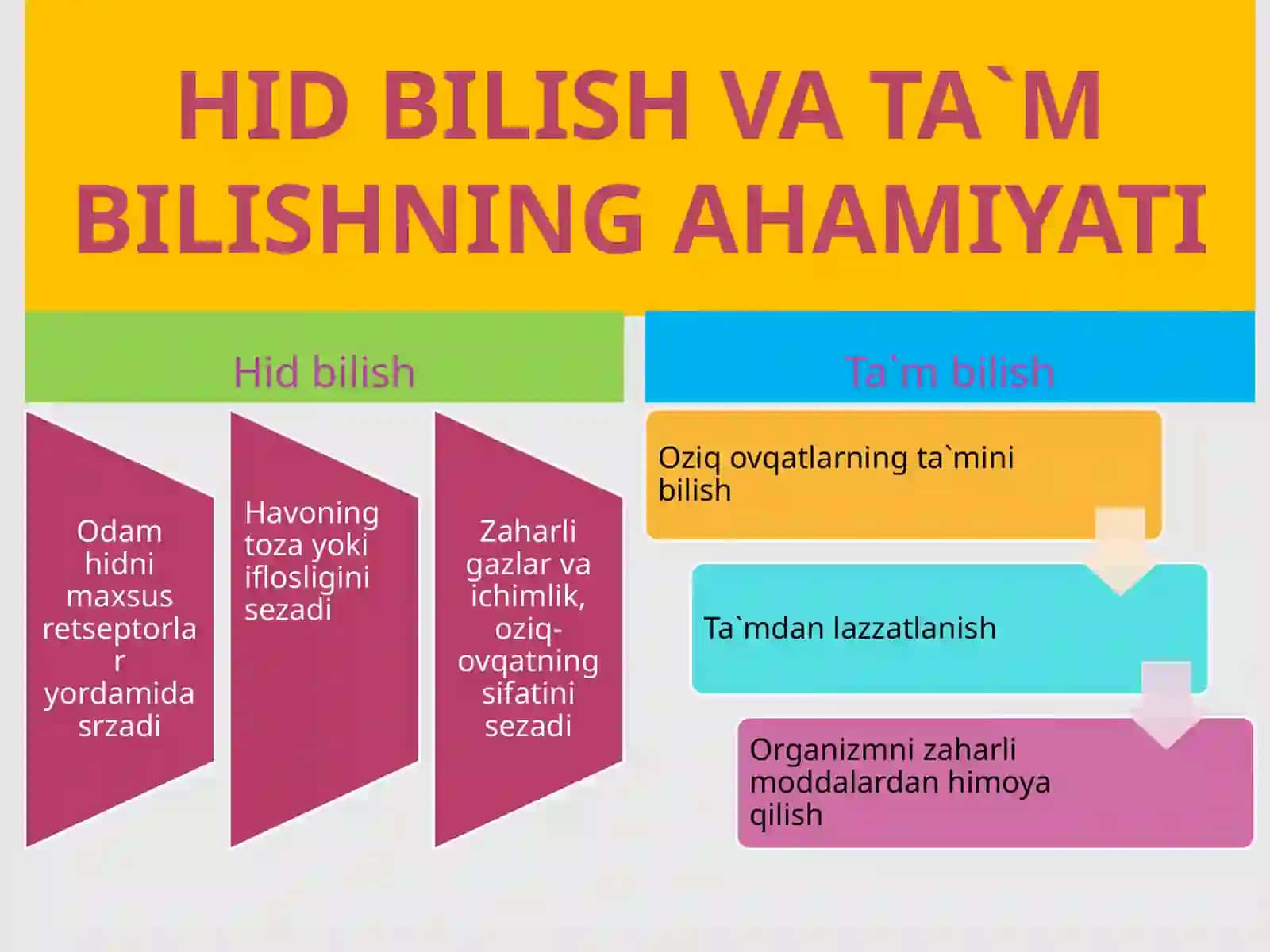 HID BILISH VA TA`M BILISH ORGANLARI 3