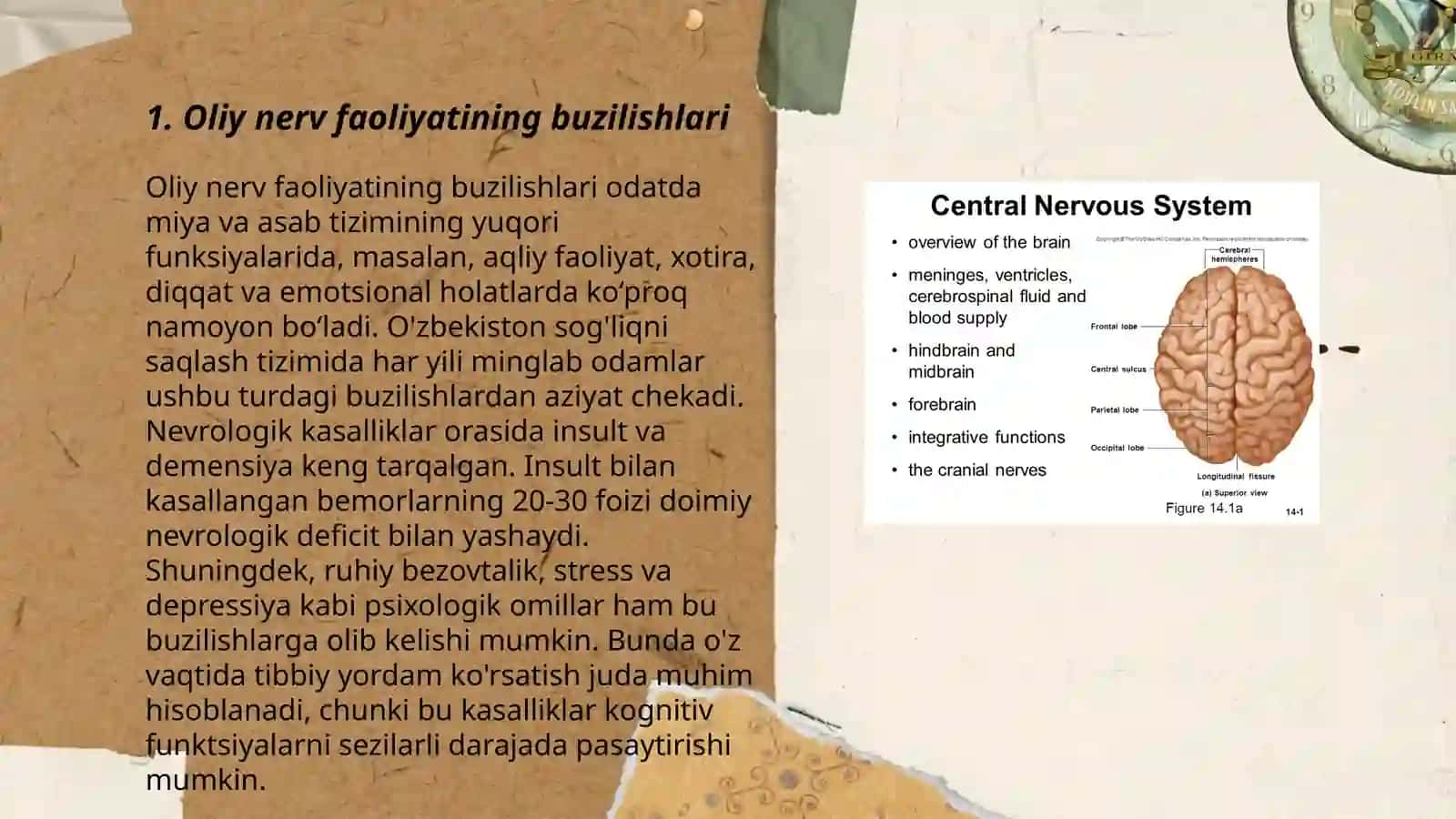 Oliy nerv faoliyatining patologik holatlari 3