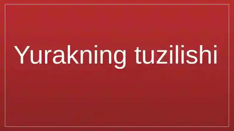Yurak qon-tomir sistemasining yosh xususiyatlari va gigiyenasi 3