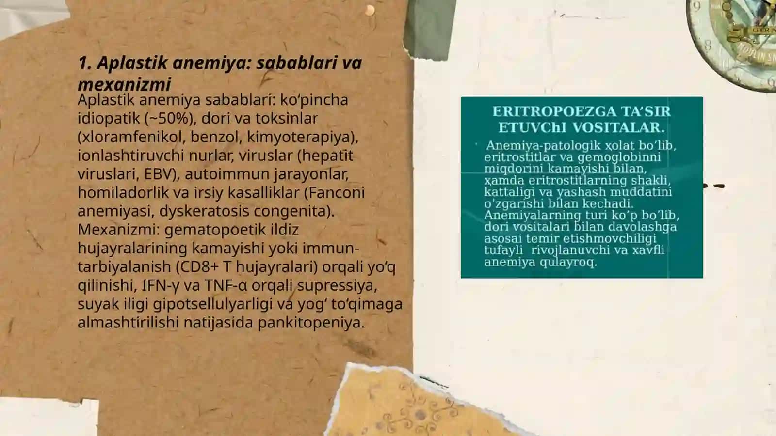 Aplastik anemiya: sabablari va mexanizmi 3