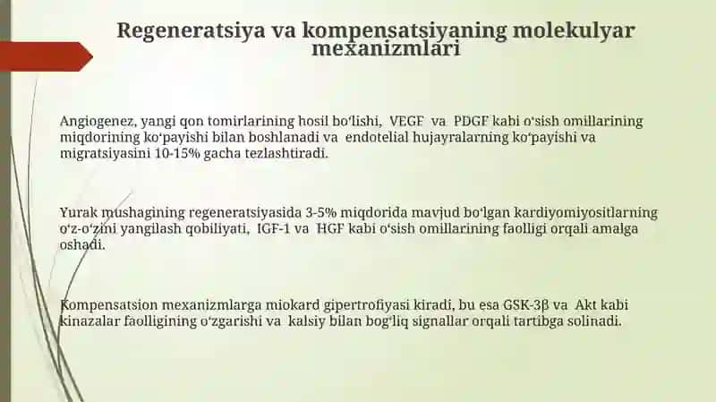 Yurak-qon tomirlar tizimi 3