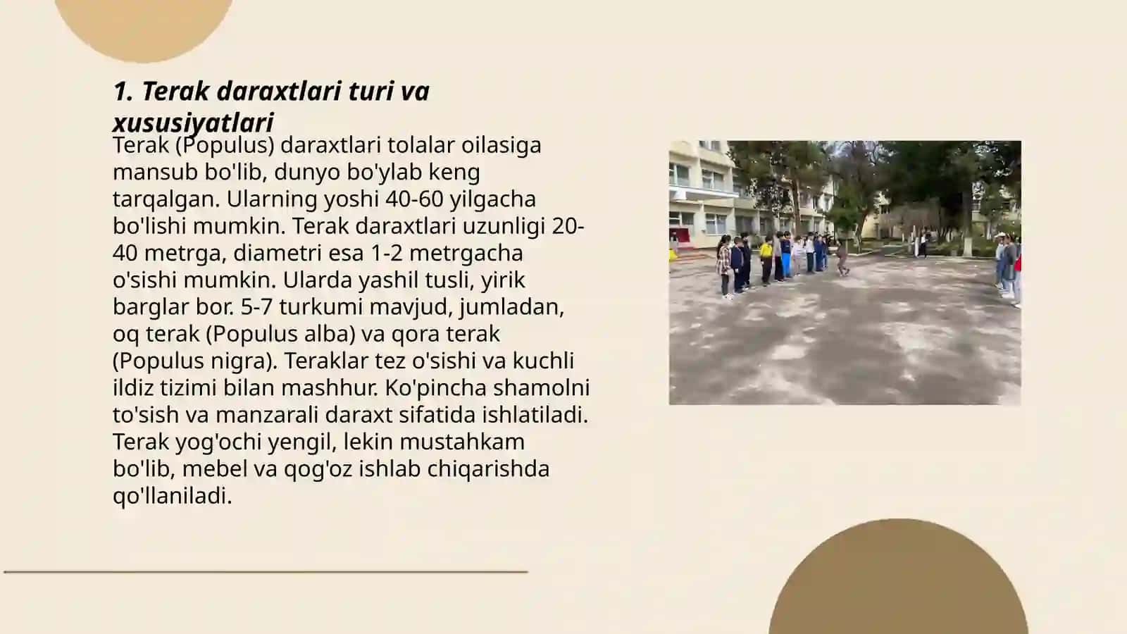 Oq terakmi koʻk terak harakatli oʻyini 3