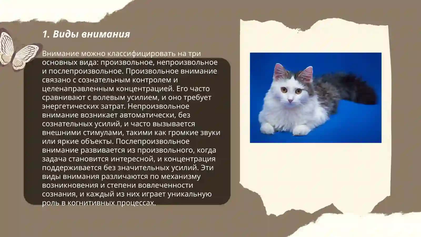 Исследование концентрации внимания 3