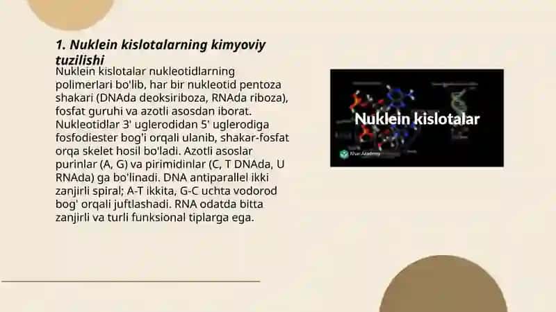 Nuklein kislotalar 3