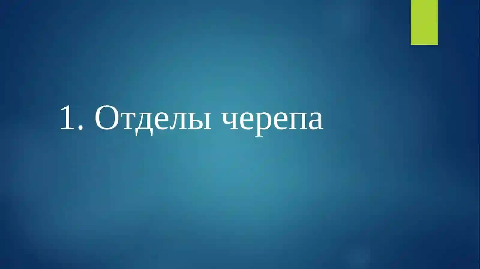 Череп 3