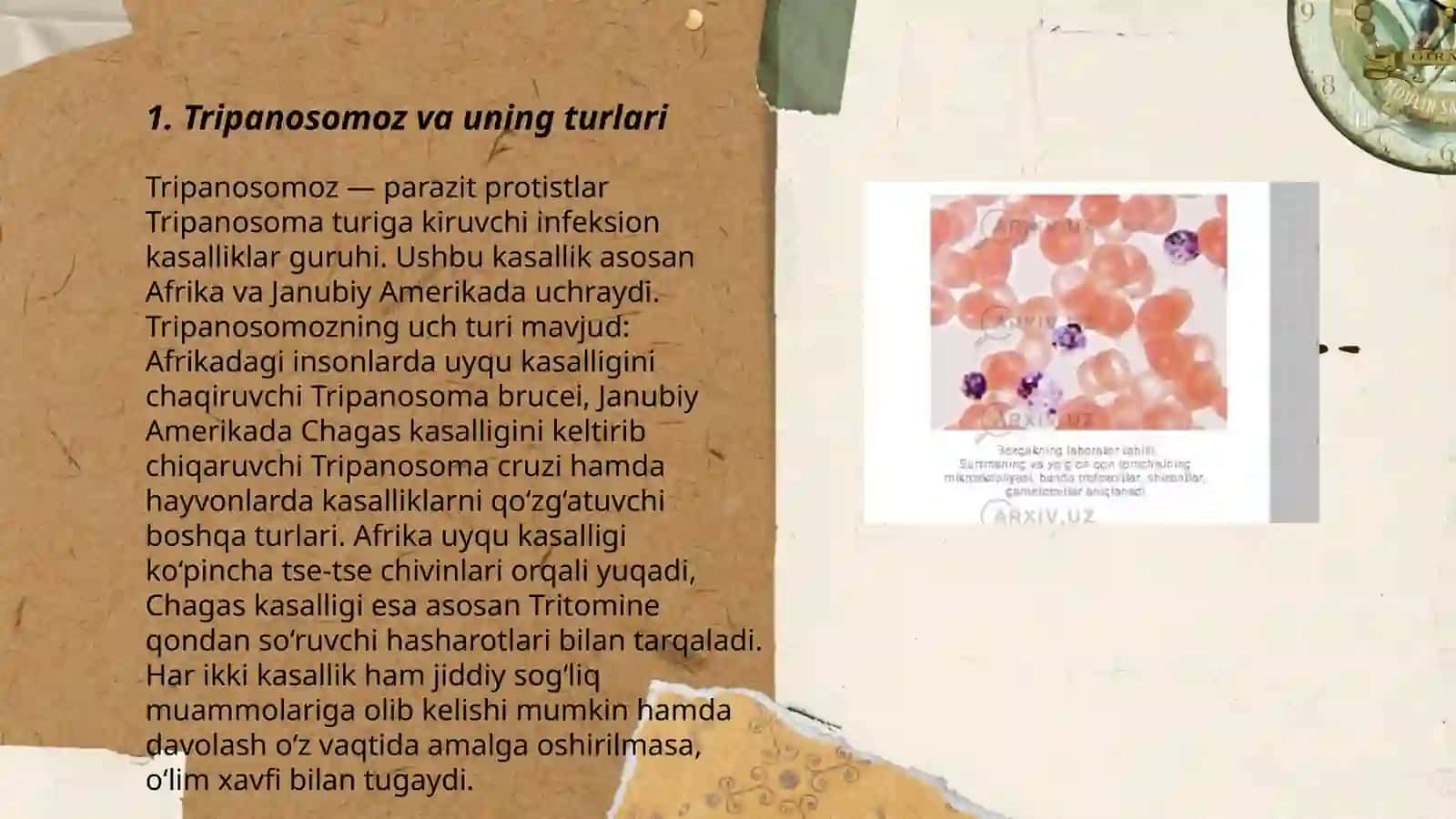 Tibbiy protozoologiya 3