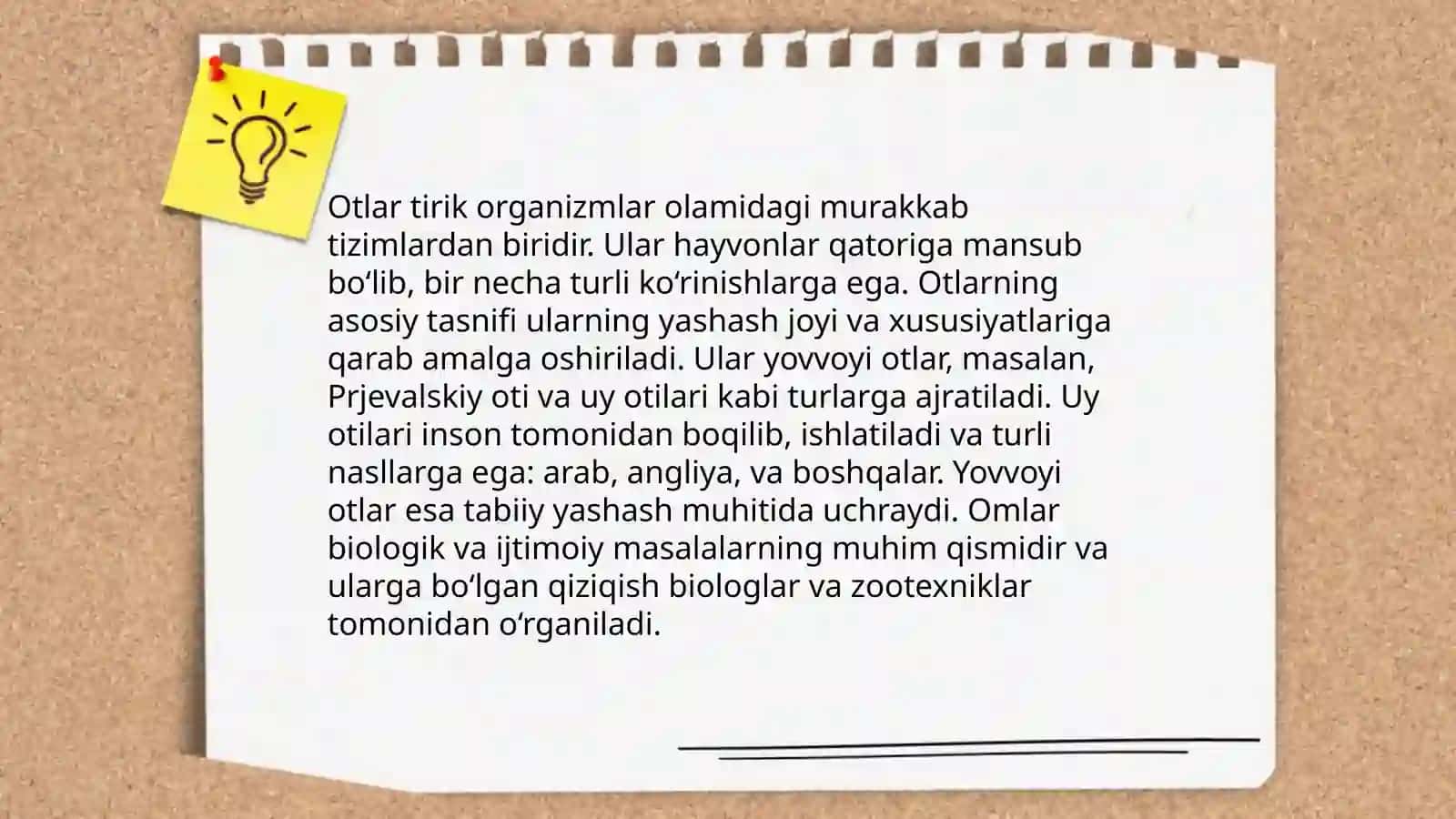 Son va ularning grammatik xususiyatlari hamda tasniflovchi kategoriya 3