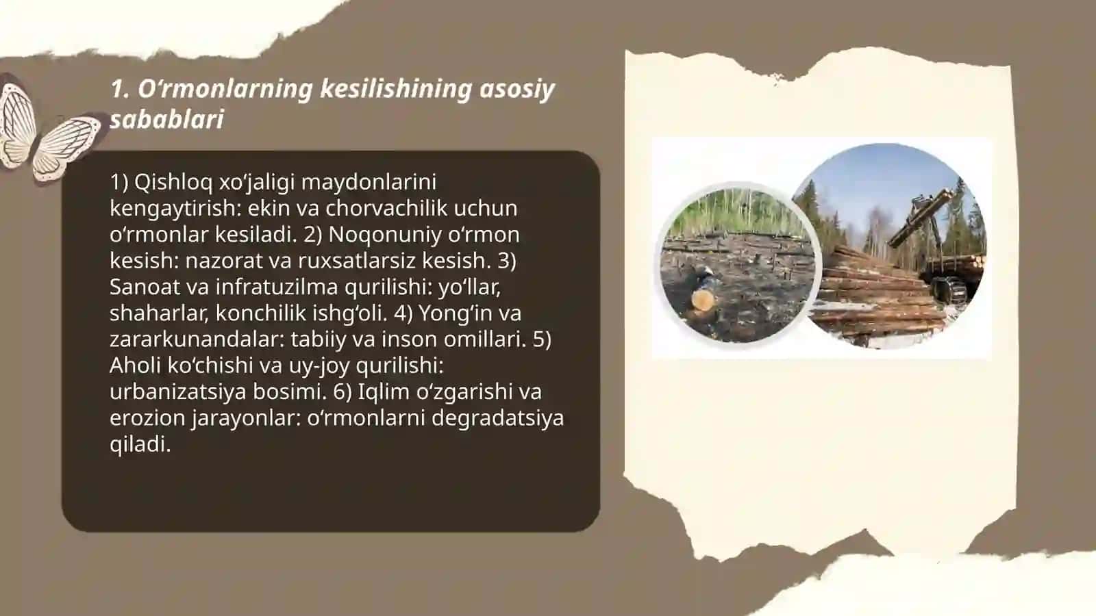 O‘rmonlarning kesilishi 3