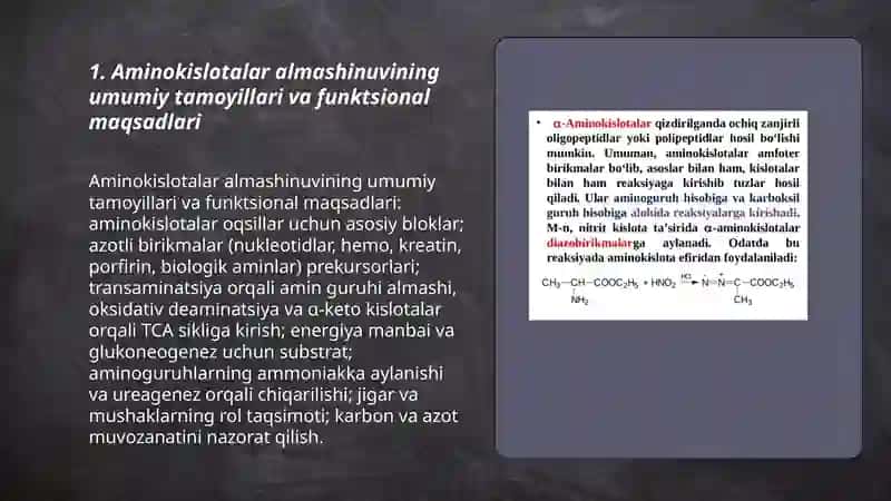 Aminokislotalar almashinuvi 3
