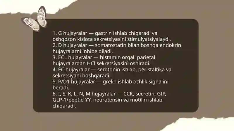 Me'da ichak nayining endokrin hujayralari 3