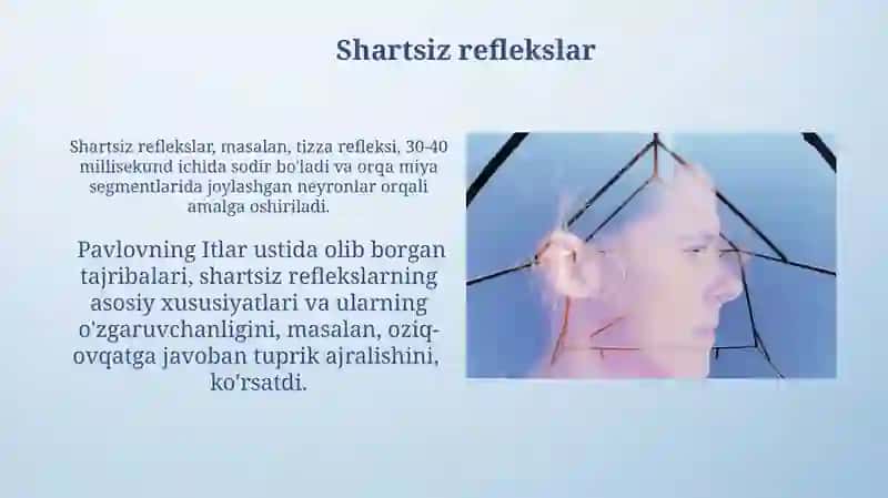 Oliy nerv faoliyatining tiplari 3