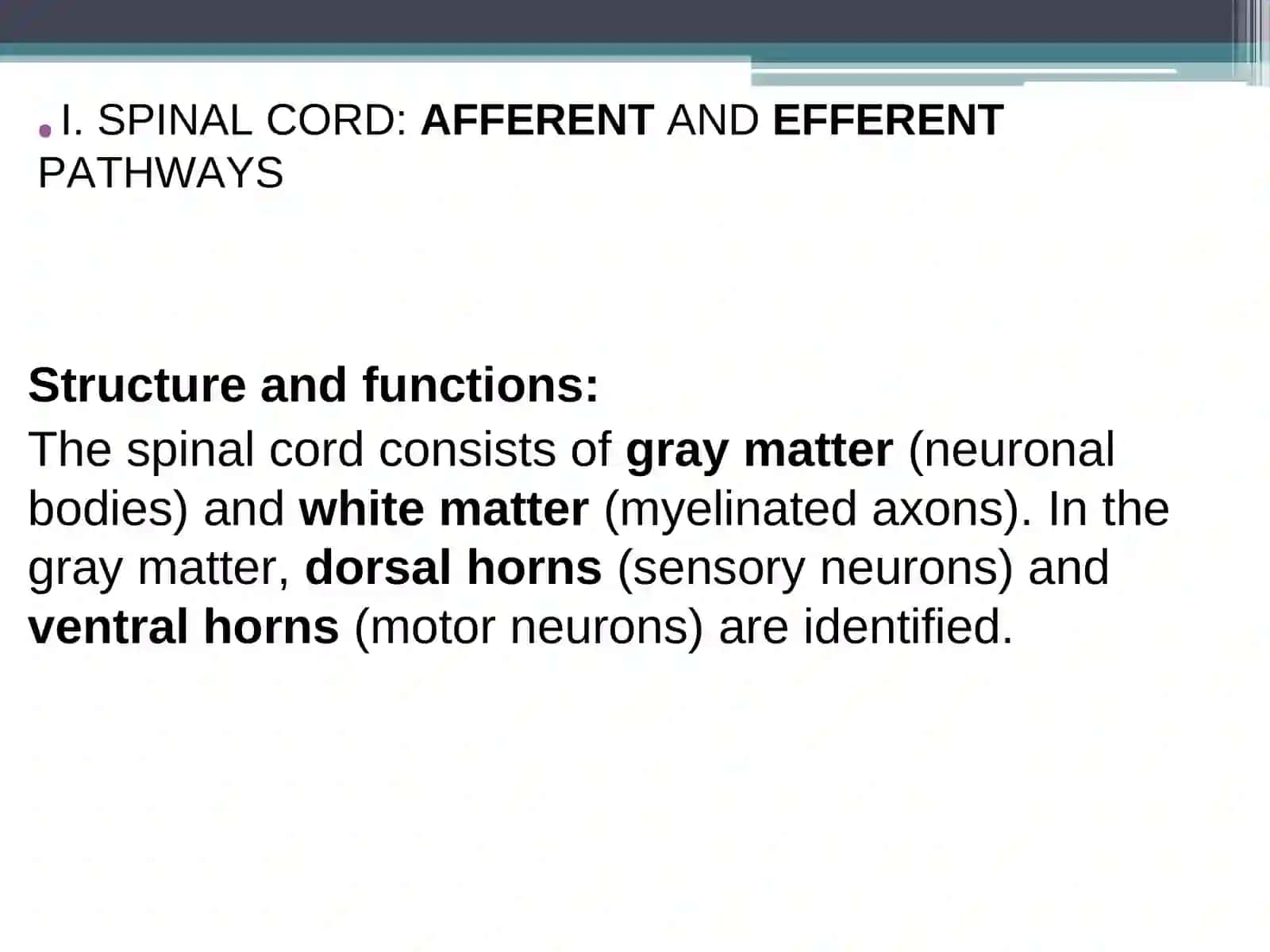 PHYSIOLOGY OF THE NERVOUS SYSTEM 3