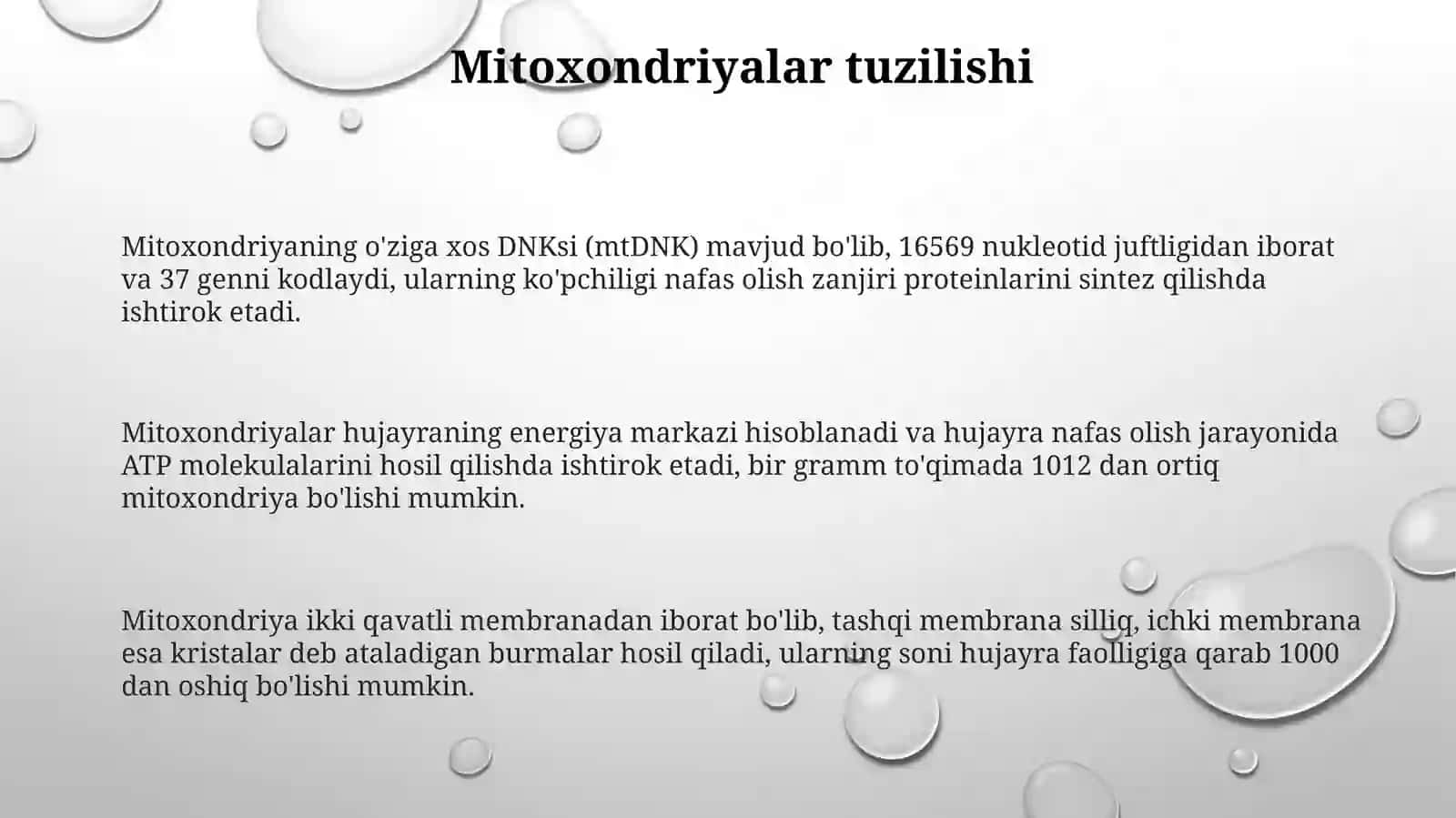 Mitoxondriya, Plastoidlar va Peroksisomalar tuzilishi 3