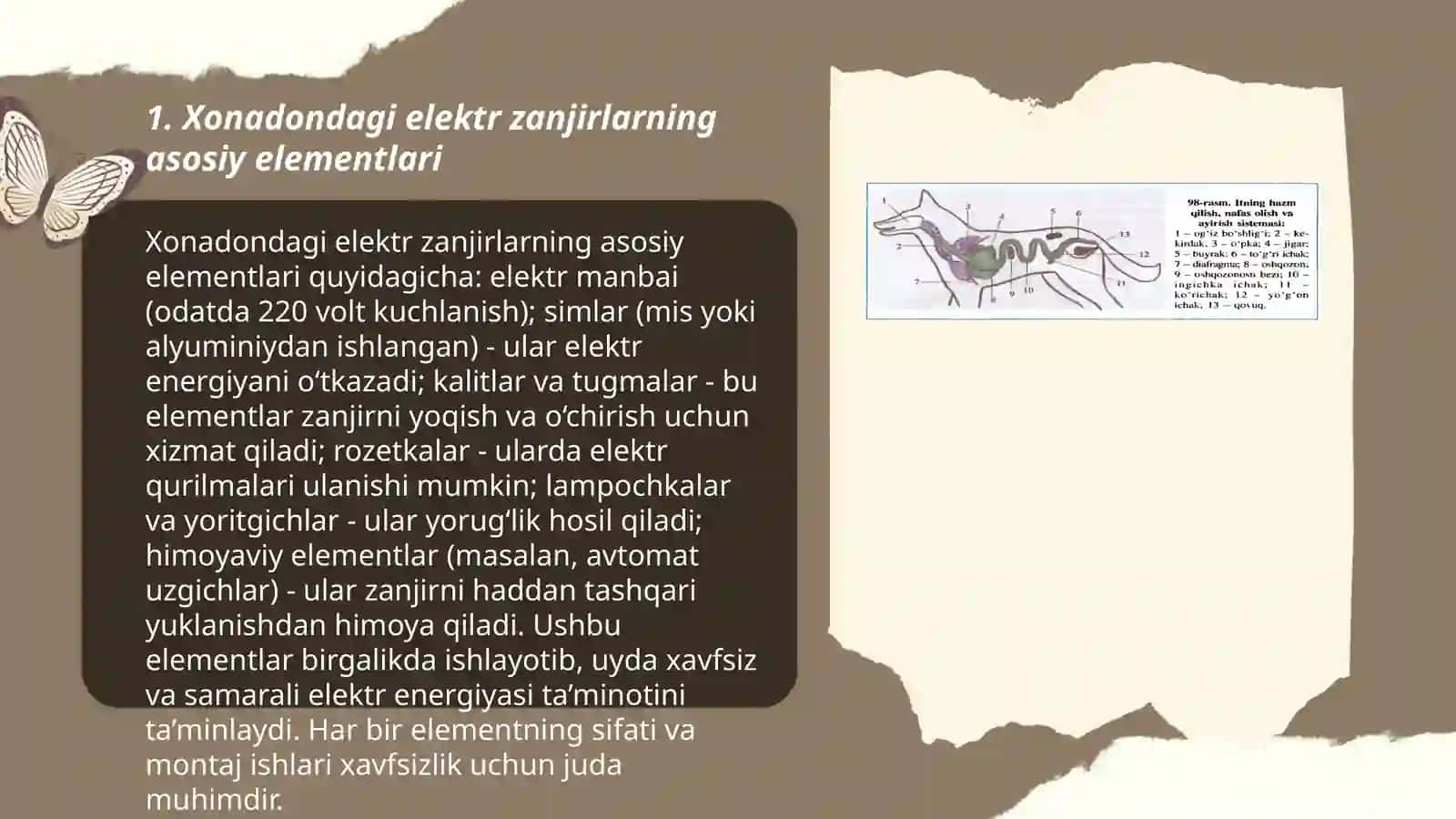 Xonadondagi elektr zanjirlar va tuzilishi 3