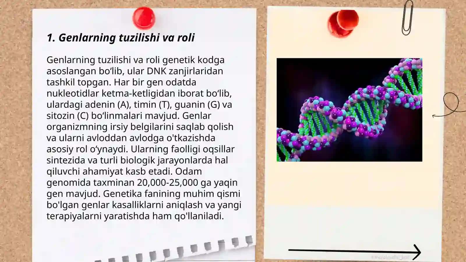 Odam genitikasi va tibbiy genitika 3