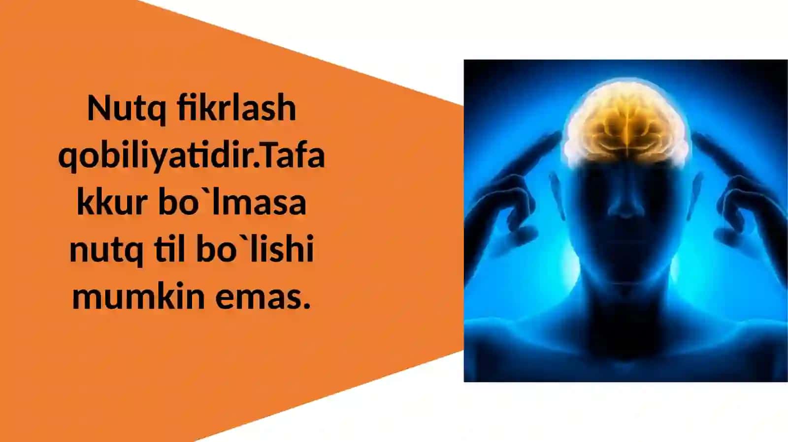 Nutqiy tafakkur rivojlanish muammolari 3