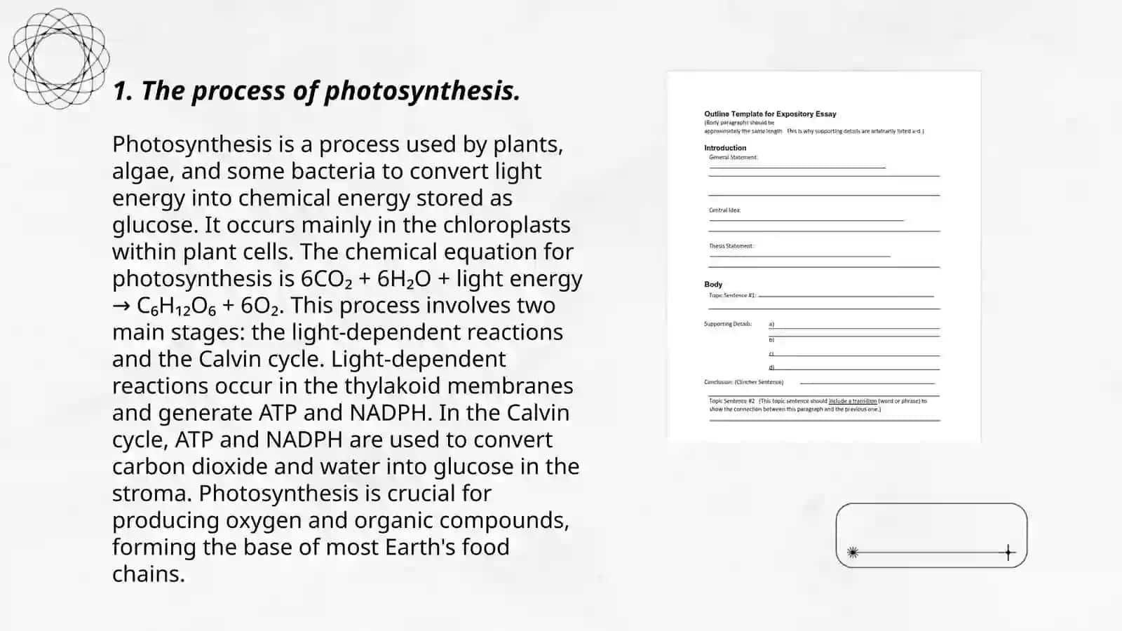 The process of photosynthesis 3