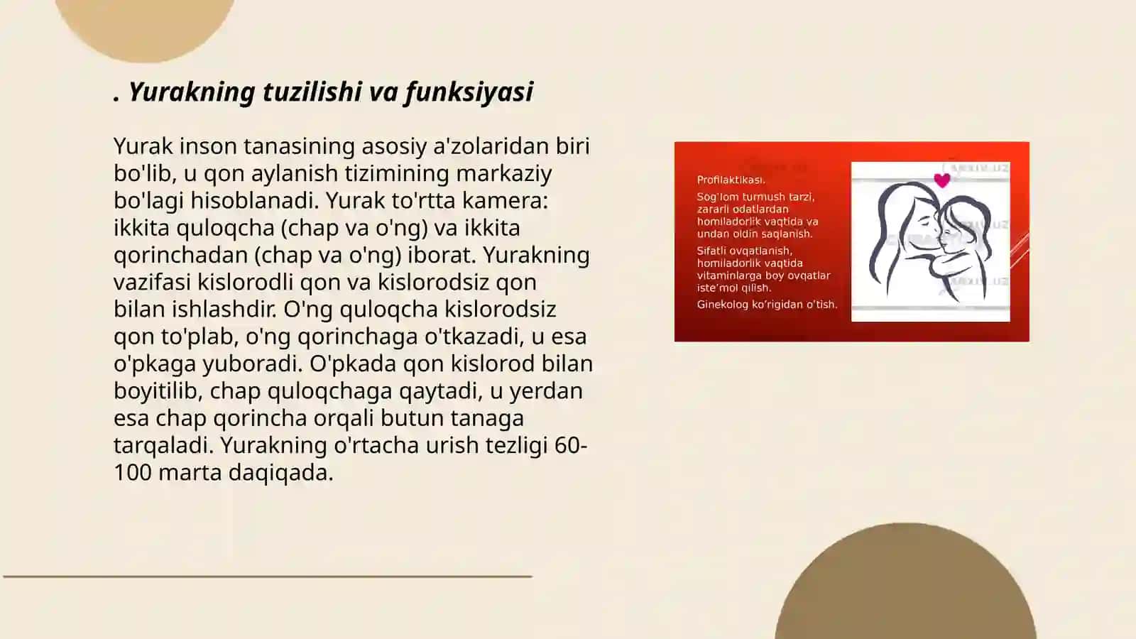Qon aylanishi. Yurak mushaklar 3